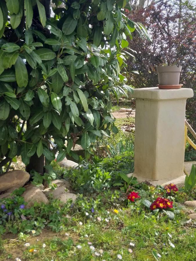 Villa Amai Lequio Tanaro Εξωτερικό φωτογραφία