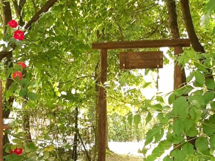 Villa Amai Lequio Tanaro Εξωτερικό φωτογραφία
